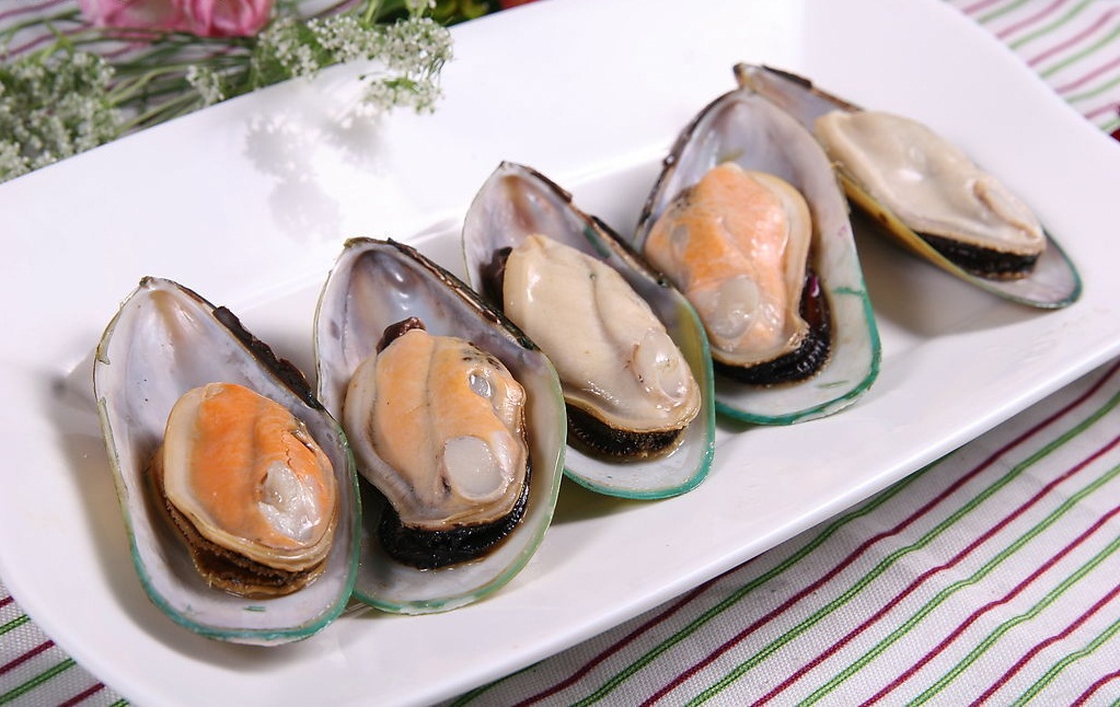 青口gdp_青口贝图片(2)