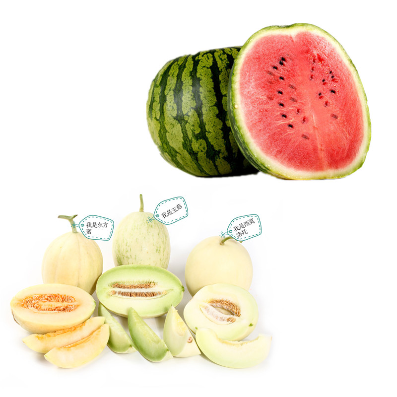 【农家自产】南汇西瓜+甜瓜组合F2的图片