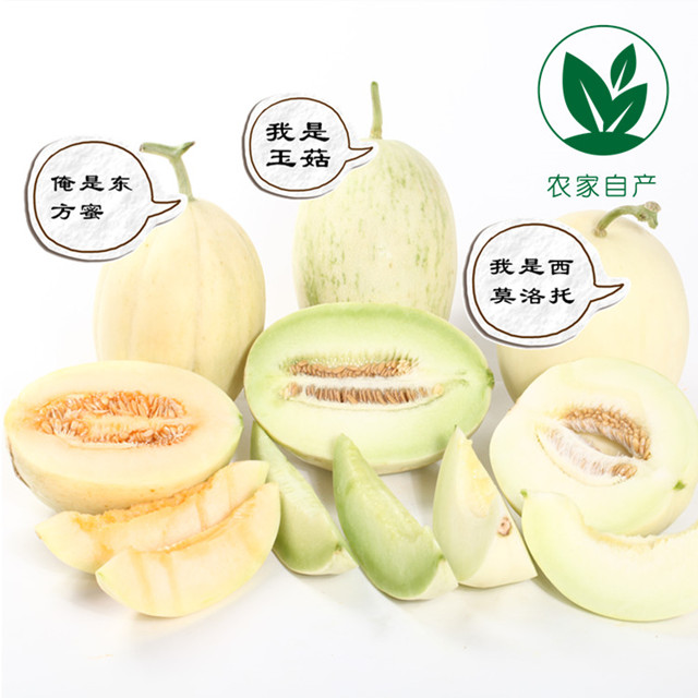 【农家自产】南汇甜瓜组合H1（12斤）商品图