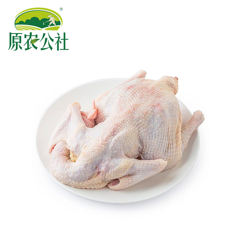 【1年母鸡】皖南农家散养跑山土鸡【炖汤】商品图